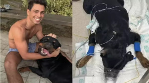 Cachorro de Cauã Reymond morre após ser envenenado