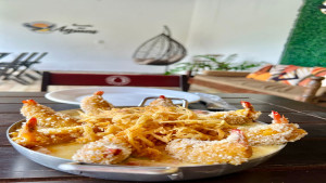 Camarão Internacional é a nova aposta do Restaurante Recanto das Águias
