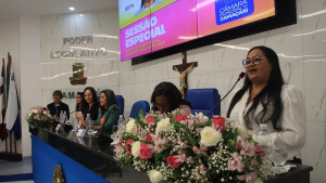 Sessão Especial do Dia da Mulher reflete sobre avanços e desafios do universo feminino